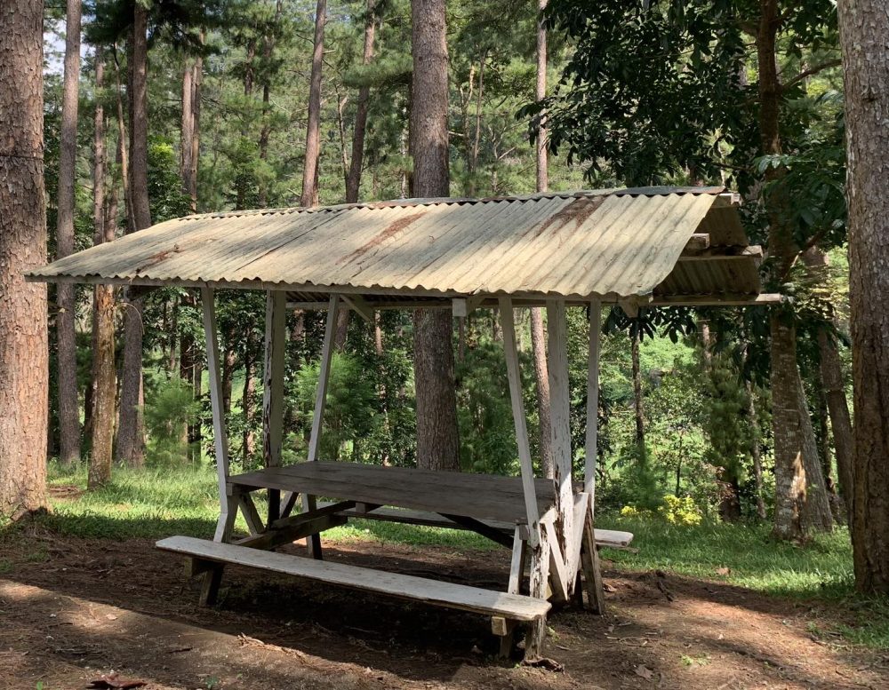 Picnic Shed (Small)