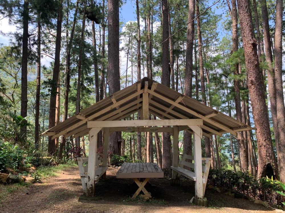 Picnic Shed (Big)